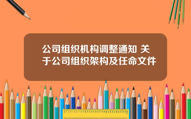 公司组织机构调整通知 关于公司组织架构及任命文件